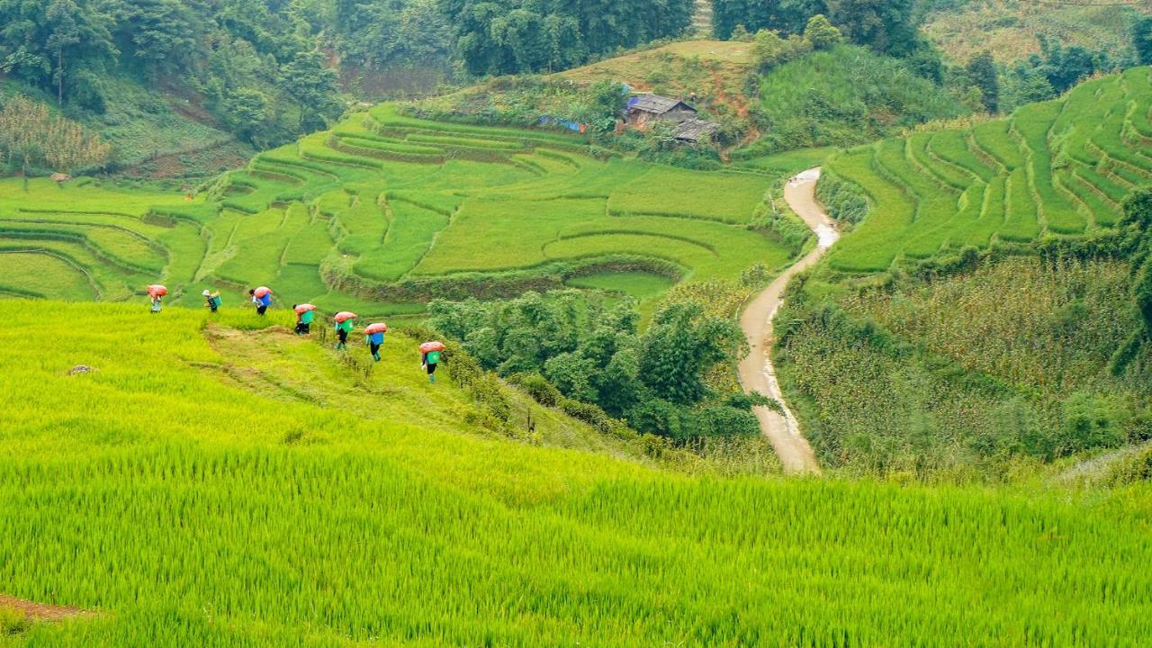 Sapa Fantasea Homestay Exteriör bild