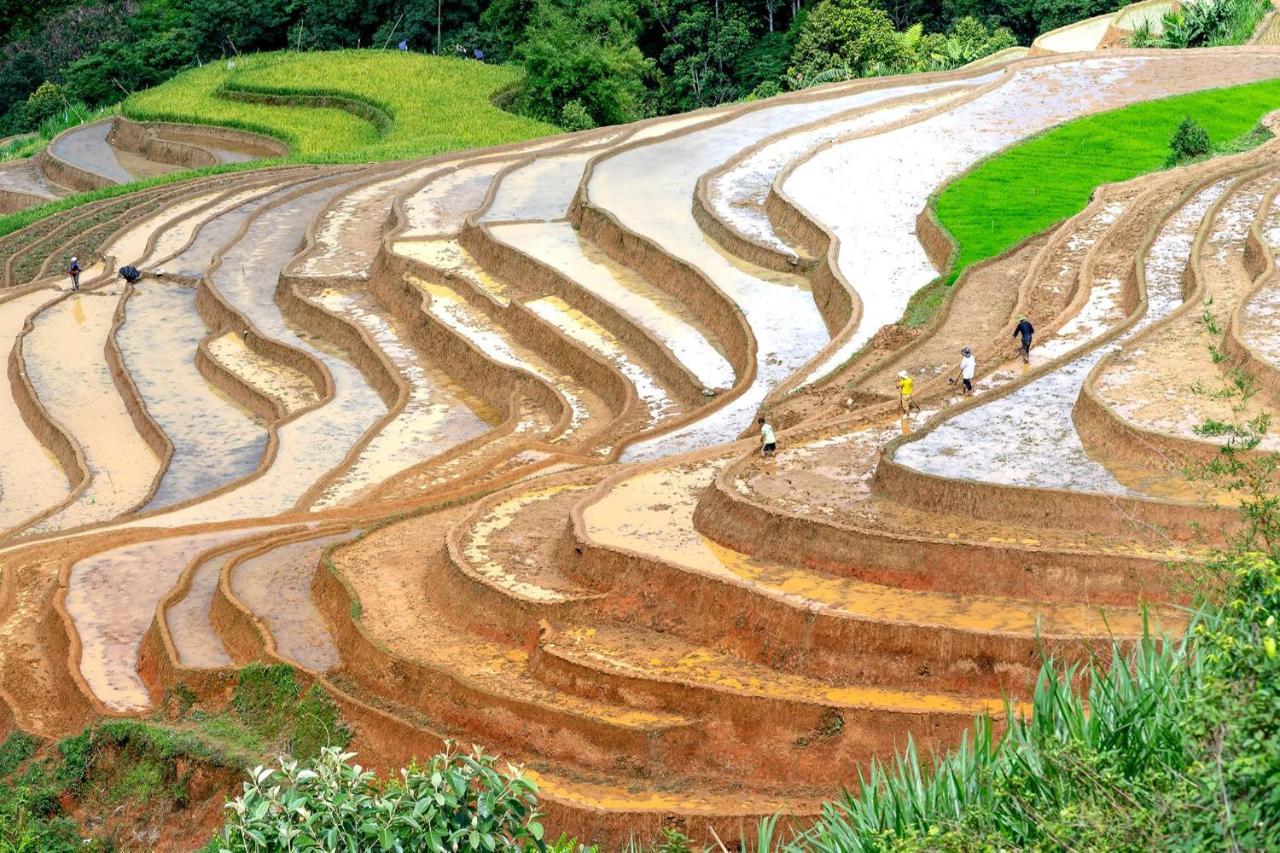 Sapa Fantasea Homestay Exteriör bild
